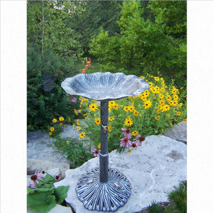 Oakalnd Living Lily Bird Bath In Antique Pewter