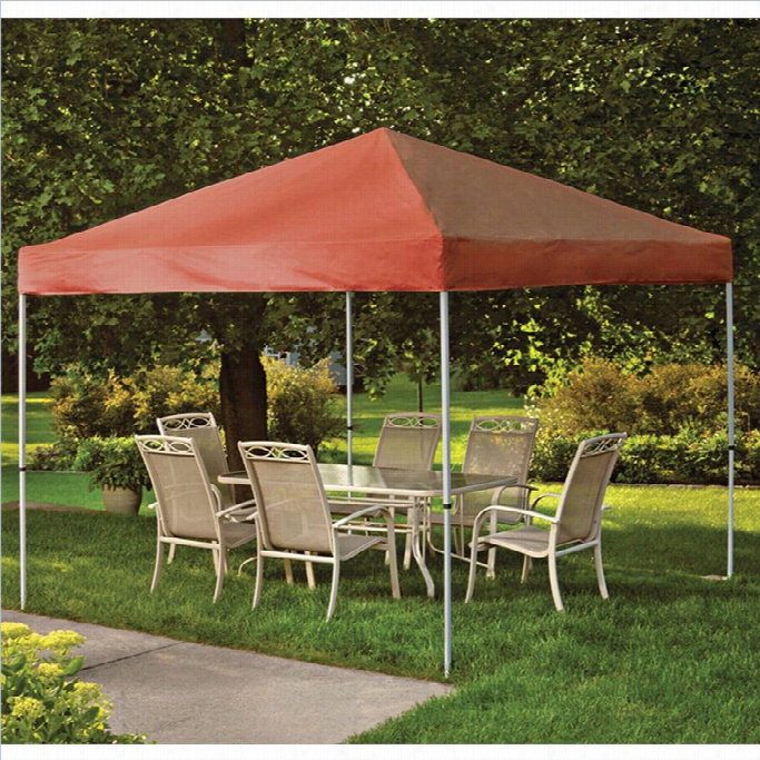 Shelterlogic 1 0'x10' Pro Pop-upp Canopy Sttraight Leg With Cover In Terracotta