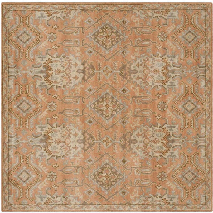 Safavieh Wynham Square Rug In Terracotta