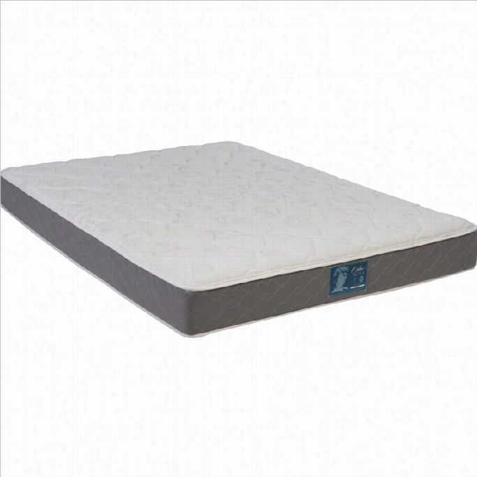 Wolf Sleep Magic Ortho Ultra Firm Innerspring  Mattress-twin