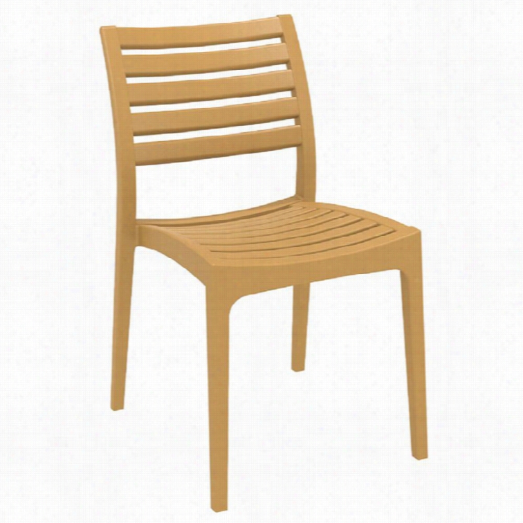 Compamia Ares Outdoor Dining Chair In Teak Brown