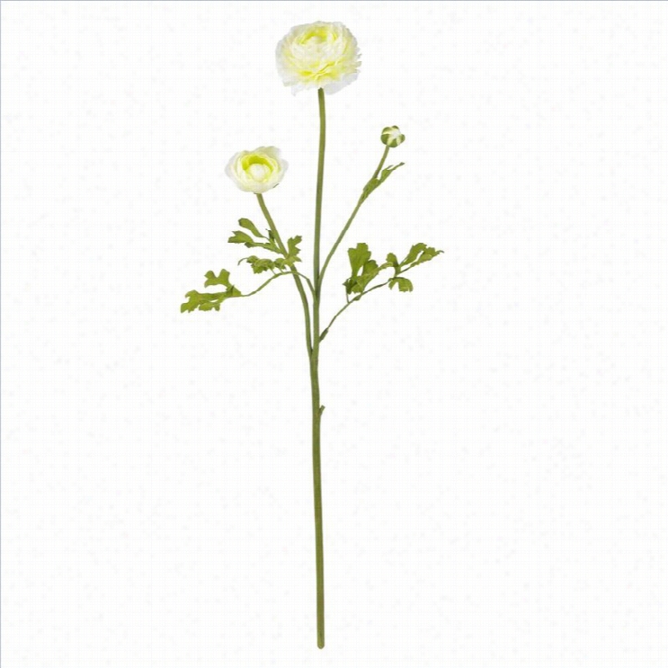 Nearly Natural 2 Ranunculus Stem In Happy (set Of 12)