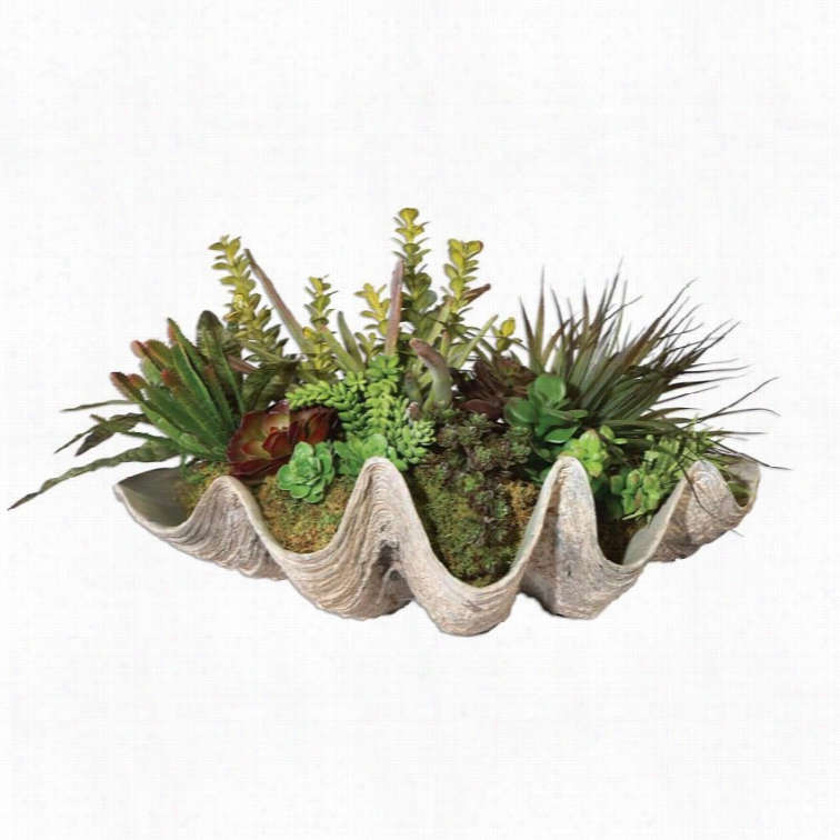 Uttermost Sea Coast Succulents