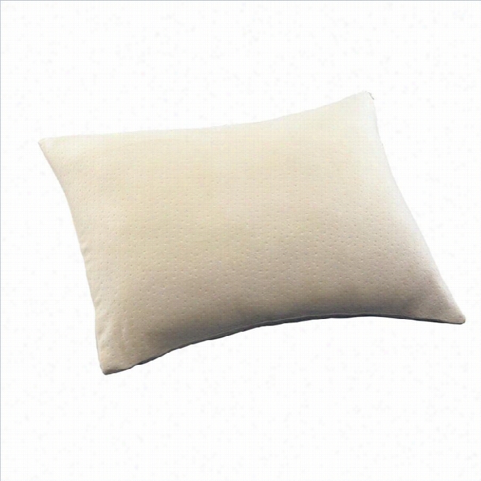Coaster Visco Filled Memory Foam Pillow-19 X 25