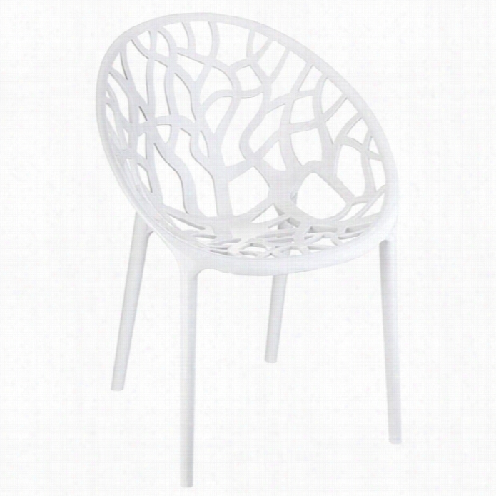 Compamia Crystaal Polycarbobate Modern Dining Chair In Glossy White