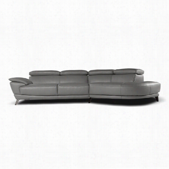 J&m Furniture Nicoketti Marisol Leather Irhht Sectional In Grey