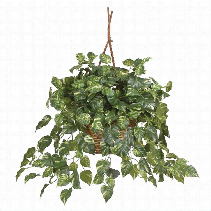 Nearly Natural Pothos Hangingbasket Silk Plant In Green