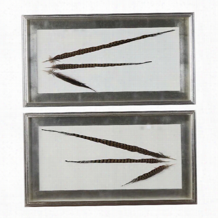 Uttermost Pheasant Feathers Wall Art (set Of 2)