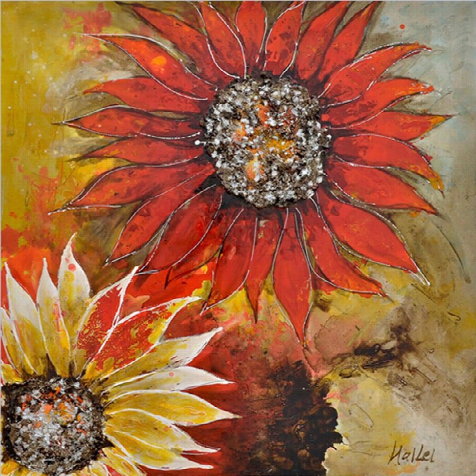 Yosmite Artwork - Sunburst Flower  Ii