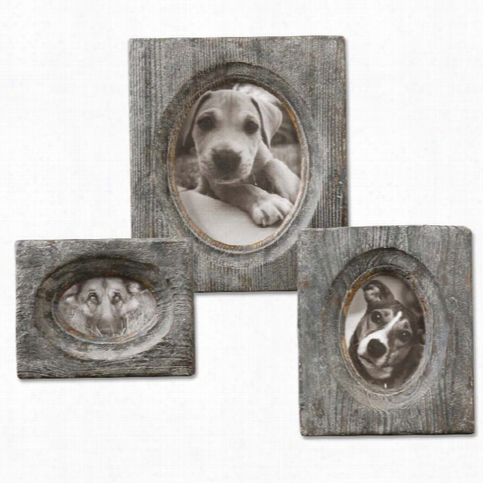 Uttermost Lonie Wooden Photo Frames (set Of 3)