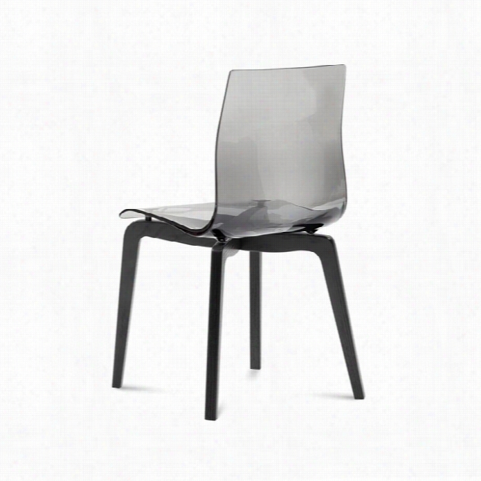 Domitalia Gel Dining Chair In Clear Smok Eand Anthracite