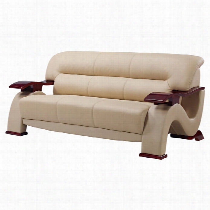 Global Furniture Usa Leather Sofa In Cappuccino