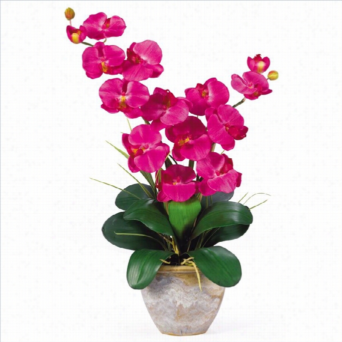 Closely Illegitimate  Double Phalaenopsis Silk Orchid Flower Disposition
