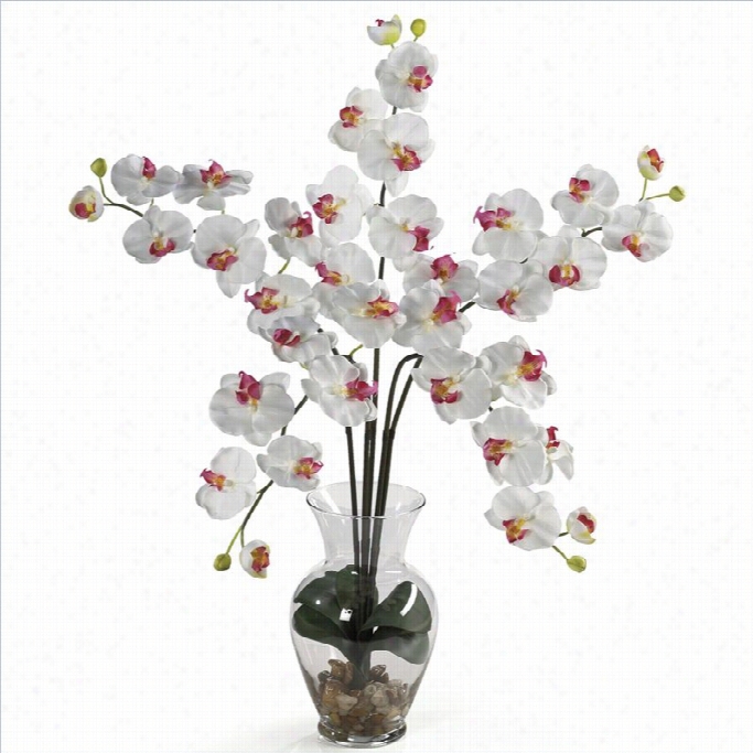 Nearly Natural Phalaenopsis Liquid Llusion Silk Flowerarrangement In White