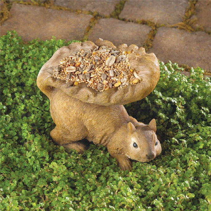 Zingz And Thingz Woods Squirrel Birdfeeder