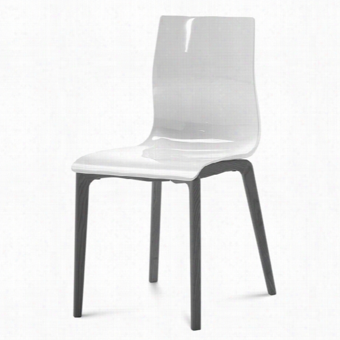 Domitala Gel Dining Chair In White And Anthracite