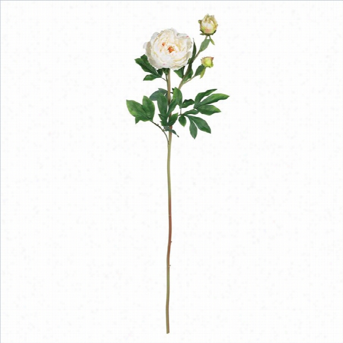 Nearly Natural 38.5 Peony With Leaves Stem In White (set Of 12)