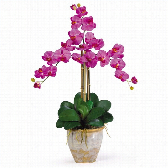 Nearly Natural Triple Phalasnopsjs Silk Orchid Floser Arrangement In Orchid