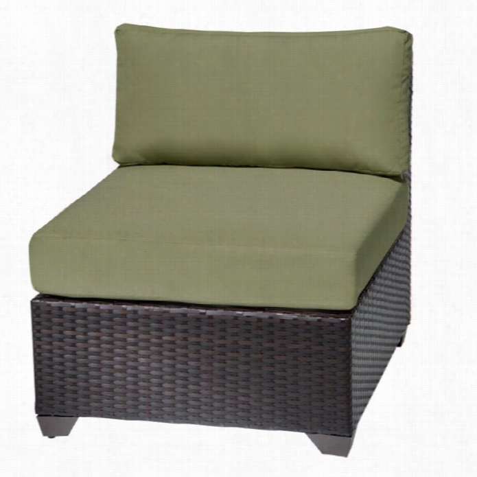 Tkc Barbados Outdoor Wicker Chair In Cilantro (set Of 2)