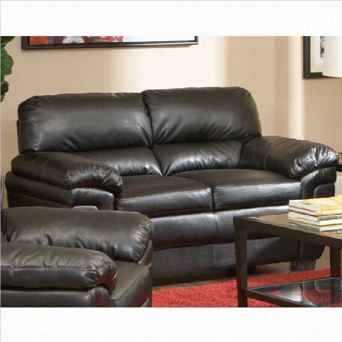 Coaster Fenmore Casual Ultra Plush Leather Loveseat In Black