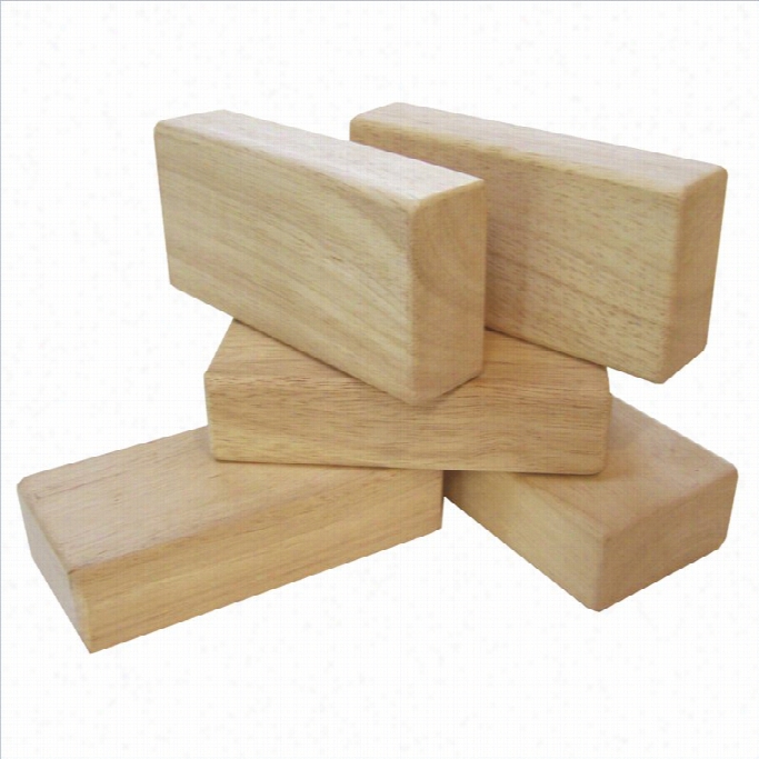 Guidecraft 5 Pieces Hardwood Unit Block Set