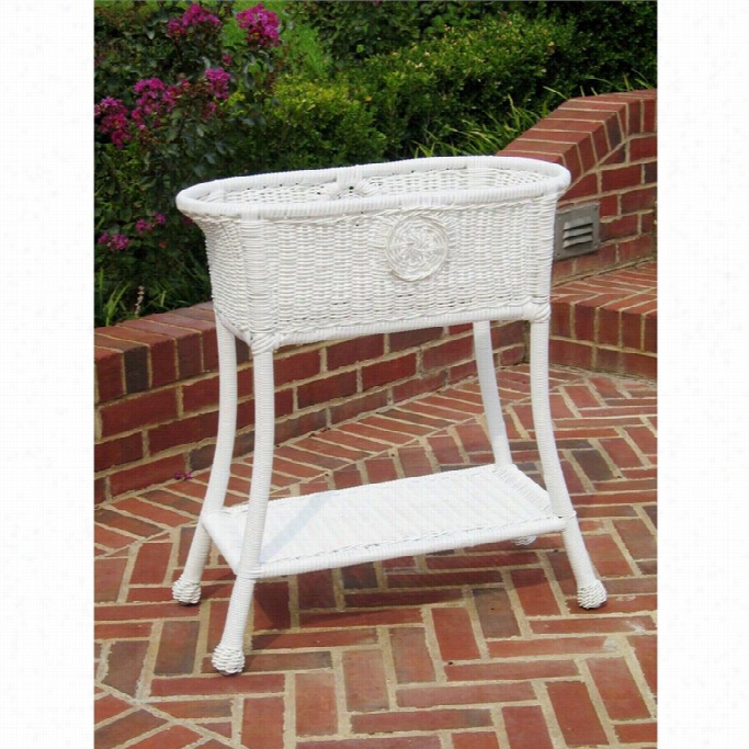 International Aravan Chelsea Oval Paito Plant Stand In White