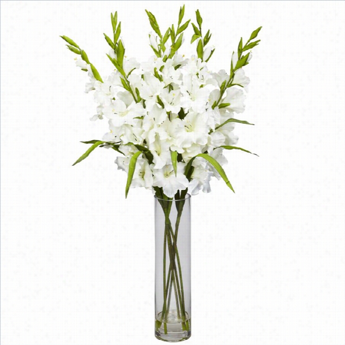 Approximately Natural Large Gladiola With Cylinder Vases Ilk Arrangement In White