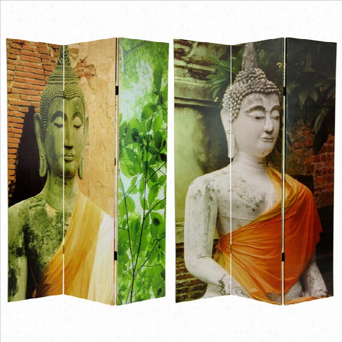 Oriwntal Draped Budha Trick Sid Ed Room Divider