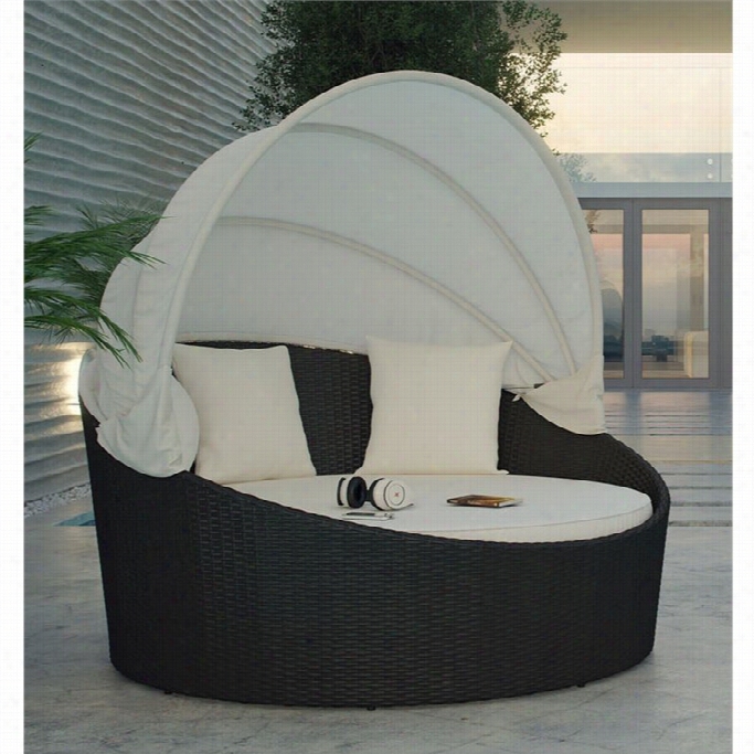 Modway Siesta Canopy Patio Daybed  In Espresso And White