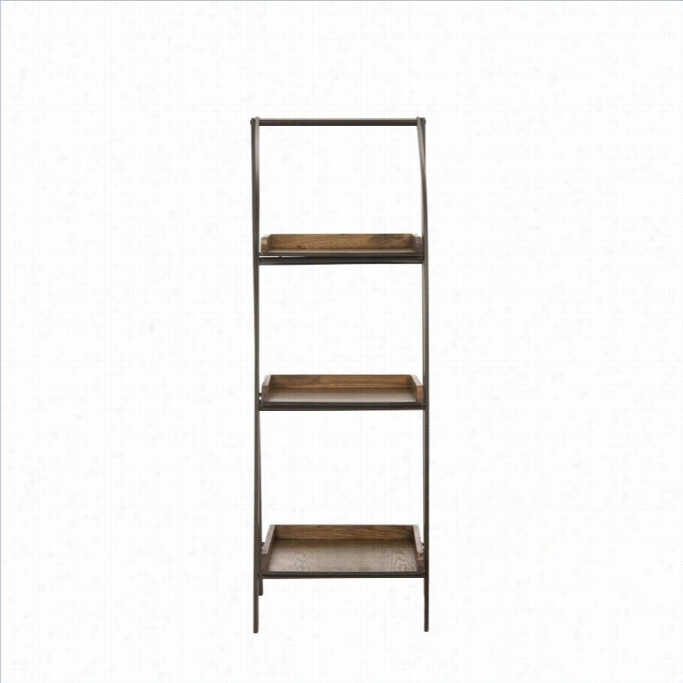 Safavieh Taylor Elm Wood  And Iron Leaning Etagere In Black And Ash