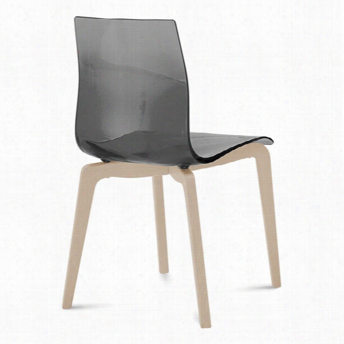 Domitalia Gel-l  Dining Chair In Transardnt Smoke