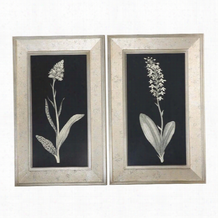 Uttermost Antique Flora Lstudy Framed Art (set Of 2)