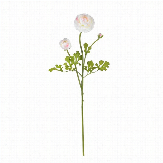 Nearly Natural 23 Ranunculus Stem In White And Pink (set Of 12)