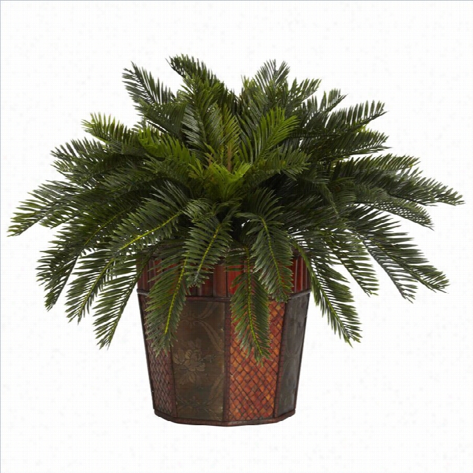 Nearly Natuarl Cycas With Octagonv Ase Silk Plant In G Reen