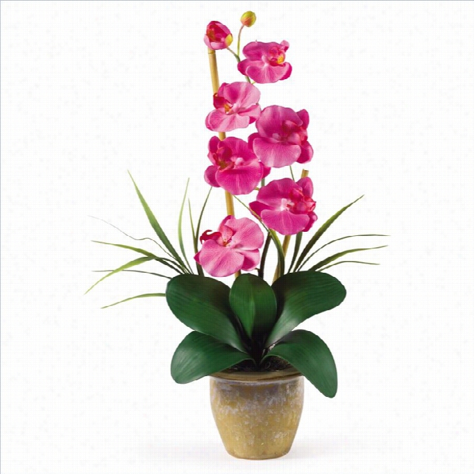 Nearly Natura Phalaenopsis Silk Orchid Flower Arrangement In Dark Pink