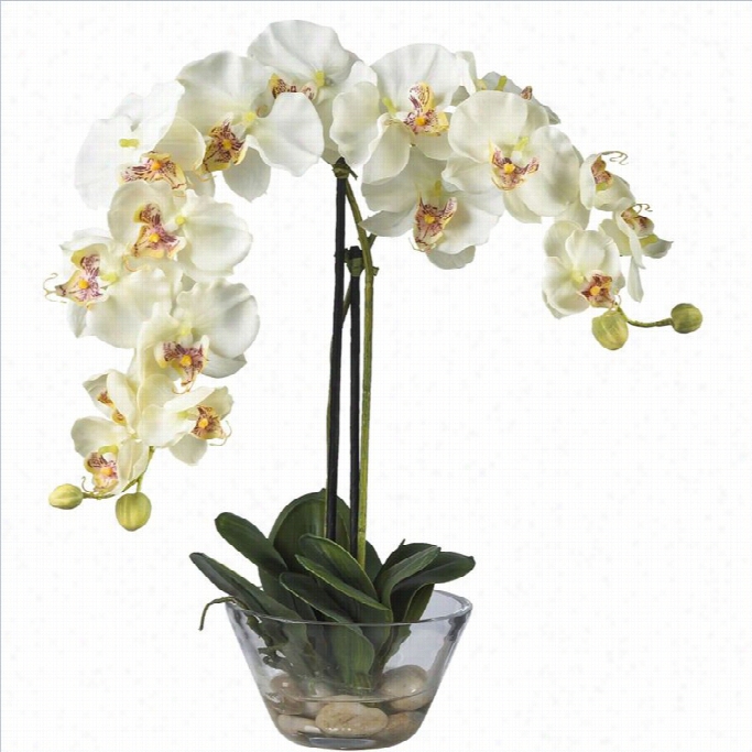 Nearly Natural Phalaenopsis With Glass Vase Siok Flower Arrangement In White