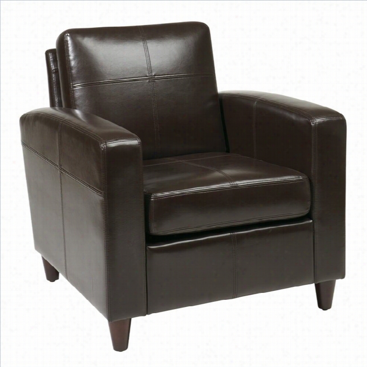 Channel Six Ven Us Leather Club Chair In Espresso