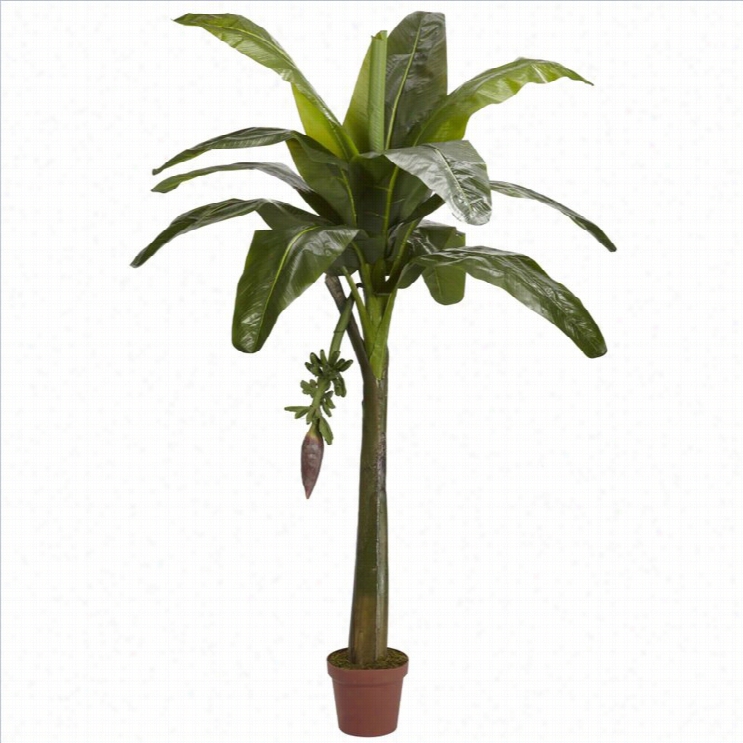 Nearly Natural 6' Banana Silk Tree  (real  Touch) In Green