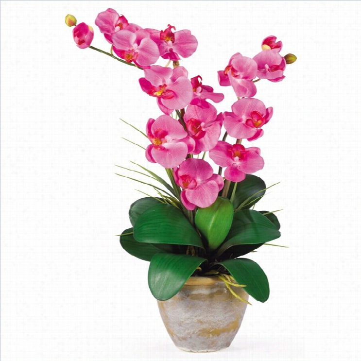 Nearky Natural Double Phalaenopss Silk Orchid Flower Arrangement In Dark Pink