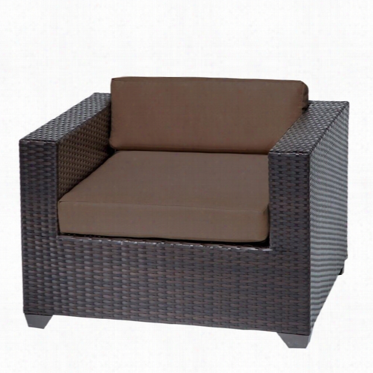 Tkc Belle Outdoor Wicker Club Chair In Cocoa