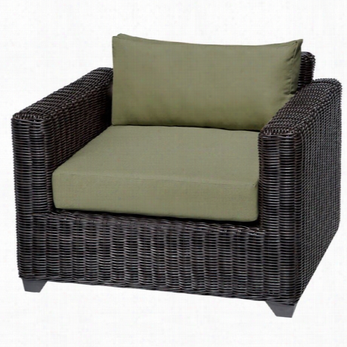 Tkc Venice Outdoor Wicker Club Chair In Cilantro