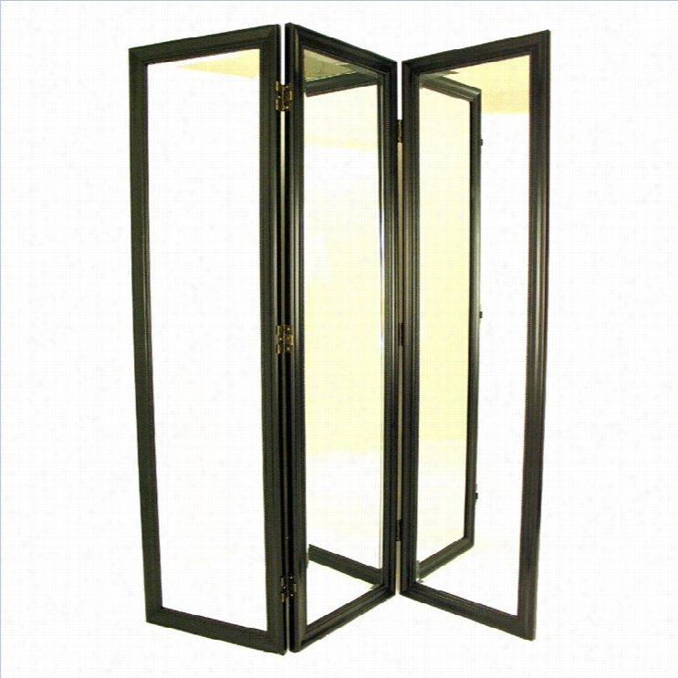 Wayborn Mirrorwith Frame Ful Lsiez Dressing Room Divirer In Black