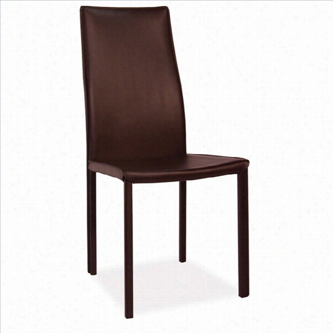 Moe's Sedia Dining Chair In Dark Brown