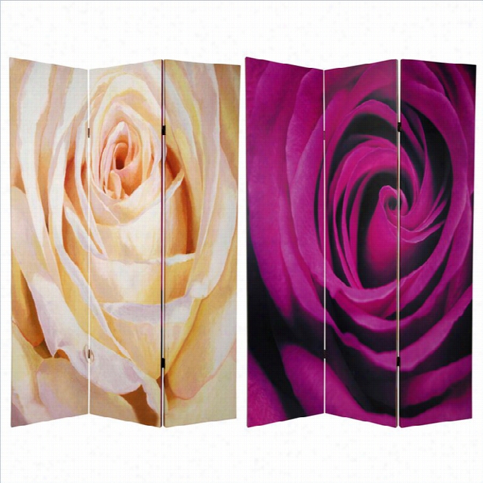 Oirental Funriture 6' Tall Roses Room Divider In From White And Pink