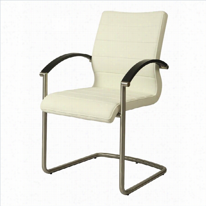 Pastel Furnture Akasha Arm Dining Chair In Ivory/wenge Veneer