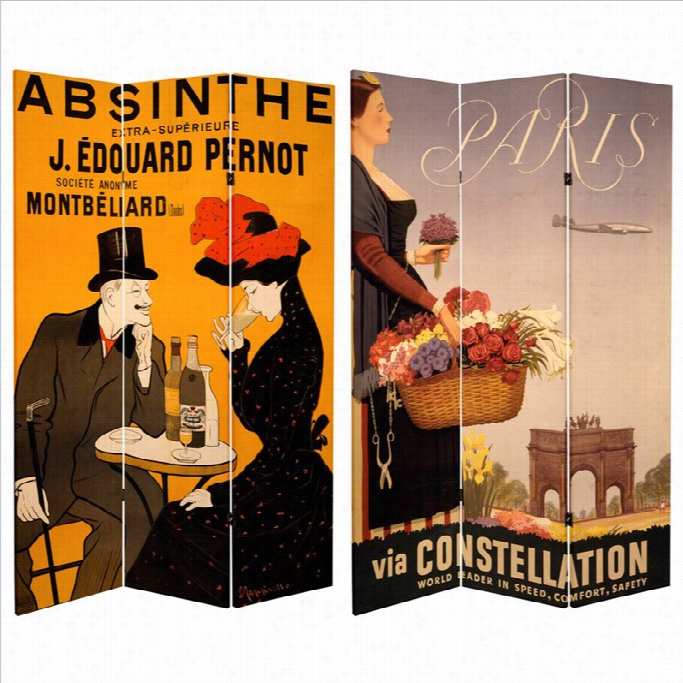 Oreital Double Sided Absinthe Canvas Room Divider