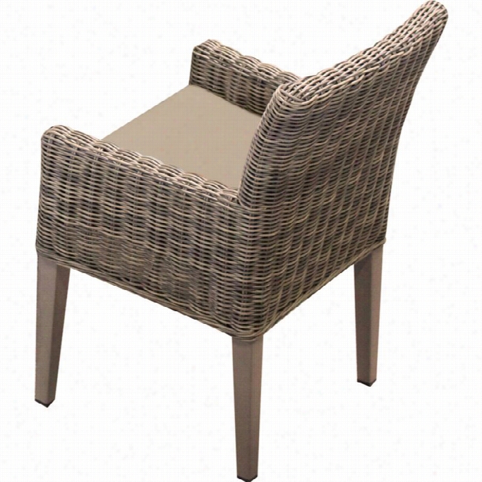 Tkc Cape Cod Wicker Patio Arm Dining Chairs In Wheat (set Of 2)