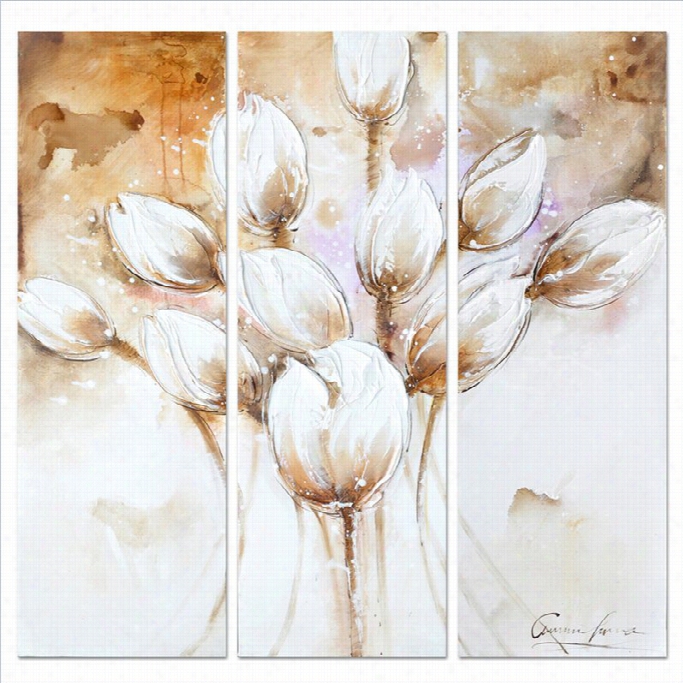 Yosemite Artwork - Pale Tulips