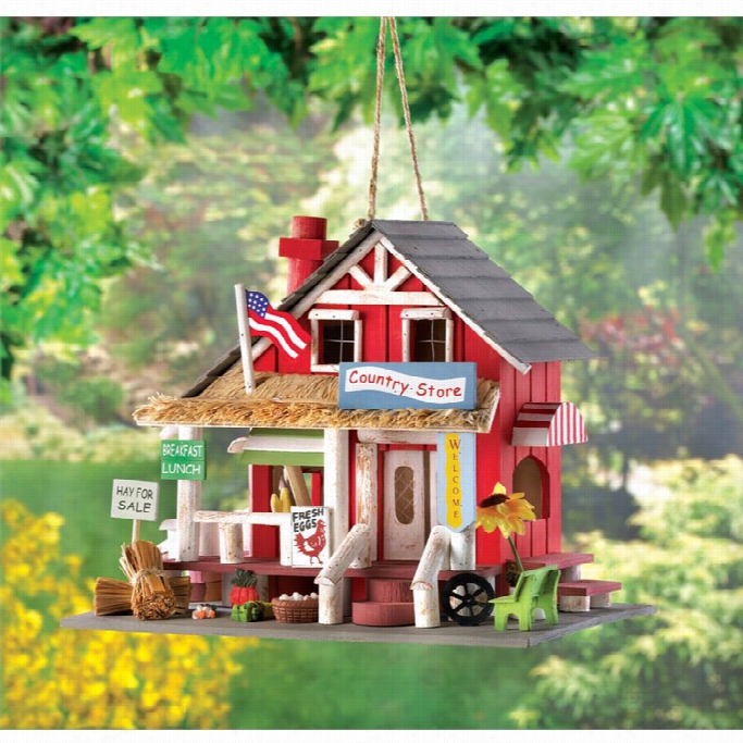 Zingz Andt Hnigz Coountry Store Birdhouse