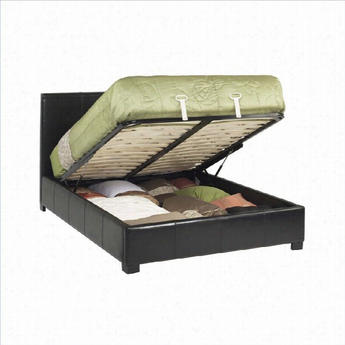 Modus Furniture Lucca Upholstered S Torage Platform  Bed In Chocolate-full